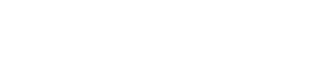 LEGAL case